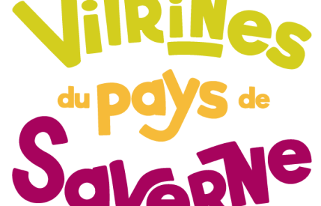 Les Vitrines de Saverne