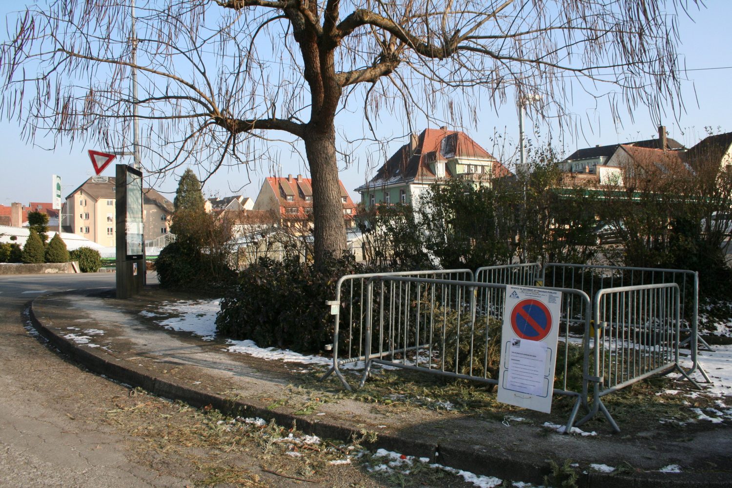 depot-sapins